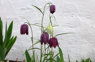 Slot til salg 91792 Ellingen, An der Vogtei 2, Bayern, Billede 38/61