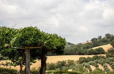 Vidiecky dom na predaj Manciano, Toscana:  RIF 3084 Garten