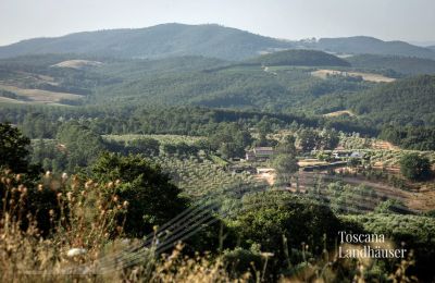 Vidiecky dom na predaj Manciano, Toscana:  RIF 3084 Blick auf Anwesen