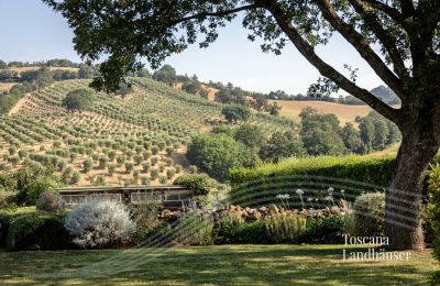 Vidiecky dom na predaj Manciano, Toscana:  RIF 3084 Garten und Nebengebäude