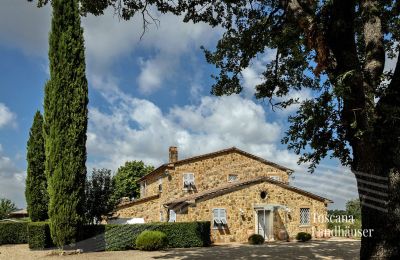 Vidiecky dom na predaj Manciano, Toscana:  RIF 3084 Anwesen