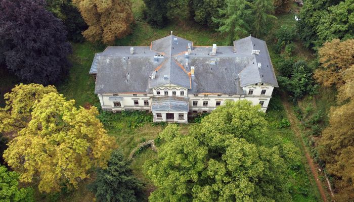 Kaštieľ na predaj Stradzewo, województwo zachodniopomorskie,  Poľsko