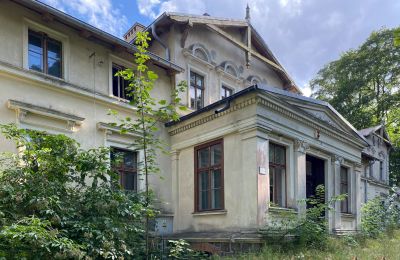 Zámok na predaj Stradzewo, Pałac w Stradzewie, województwo zachodniopomorskie, Vchod