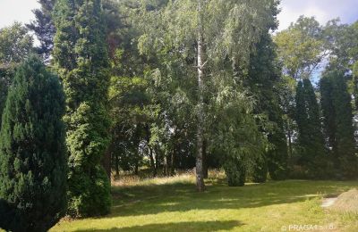 Zámok na predaj Opava, Moravskoslezský kraj, Zámocký park