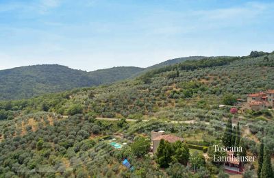 Vidiecky dom na predaj Loro Ciuffenna, Toscana:  RIF 3098 Anwesen und Umgebung