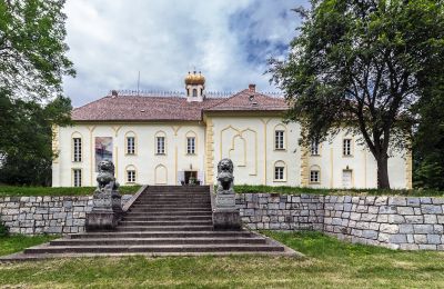 Zámok na predaj Szombathely, Župa Vas:  Pohľad zo zadnej strany