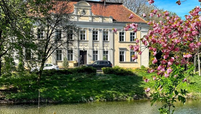 Zámok na predaj Gola, województwo wielkopolskie,  Poľsko