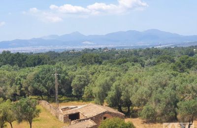 Kaštieľ na predaj Sineu, Illes Balears:  Výhľad