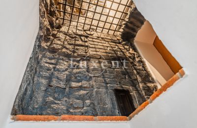 Hrad na predaj Třebotov, Třebotov tvrz, Středočeský kraj, Obrázok 22/36