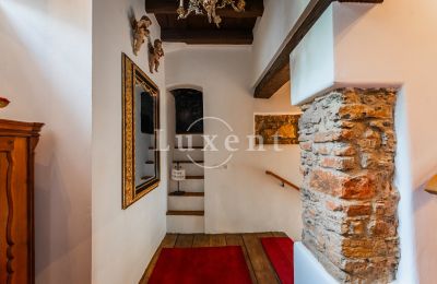 Hrad na predaj Třebotov, Třebotov tvrz, Středočeský kraj, Obrázok 25/36