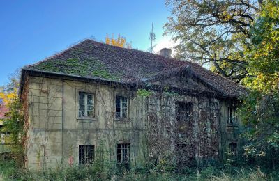 Zámok na predaj Skoraszewice, Skoraszewice  16, województwo wielkopolskie, Kúria/Panské sídlo