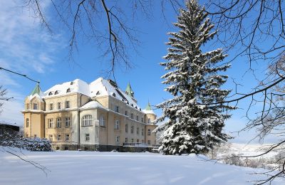Zámok na predaj Liberec, Liberecký kraj, Pohľad zo zadnej strany