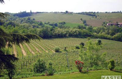 Historická vila na predaj Piemont, Obrázok 12/16