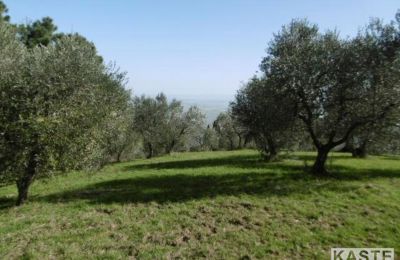 Vidiecky dom na predaj Rivalto, Toscana, Obrázok 8/15
