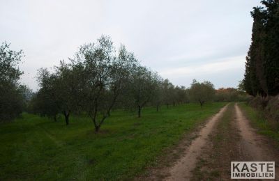 Kláštor na predaj Peccioli, Toscana, Obrázok 14/28