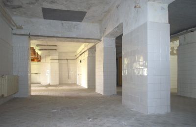 Kaštieľ na predaj Nitriansky kraj, Obrázok 14/19