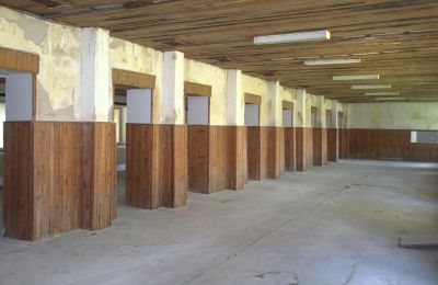 Kaštieľ na predaj Nitriansky kraj, Obrázok 7/19