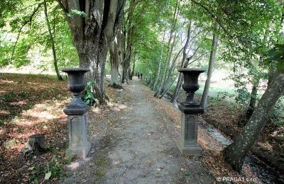 Zámok na predaj Jihočeský kraj, Zámocký park