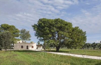 Vidiecky dom na predaj Francavilla Fontana, Puglia:  Exteriérový pohľad
