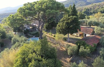 Historická vila na predaj Castiglion Fiorentino, Toscana, Obrázok 17/45