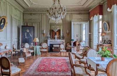 Zámok na predaj Redon, Bretagne, Salón