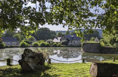 Zámok na predaj Le Mans, Pays de la Loire:  