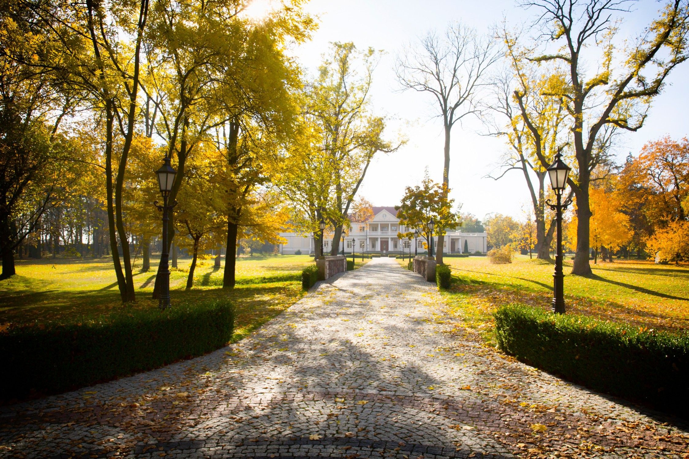 Fotky Kaštieľ a park v Zborove, juhovýchodne od Poznane