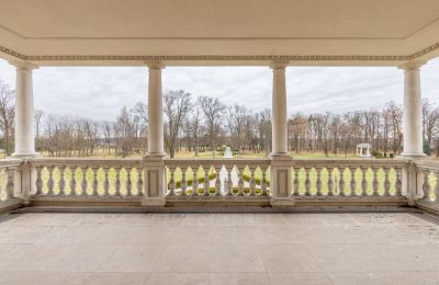 Kaštieľ na predaj Zborów, Kownackiej 33, województwo wielkopolskie, Obrázok 15/17