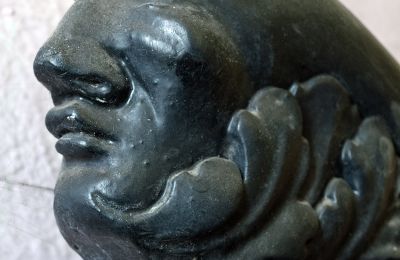 Zámok na predaj Głuchowo, Palac 1, województwo wielkopolskie, Detaily