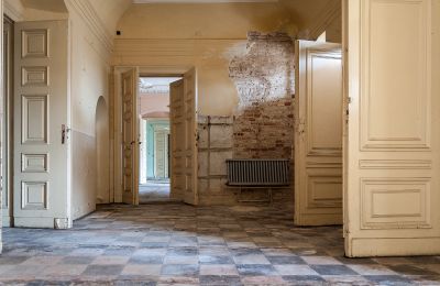 Zámok na predaj Głuchowo, Palac 1, województwo wielkopolskie, Vchod