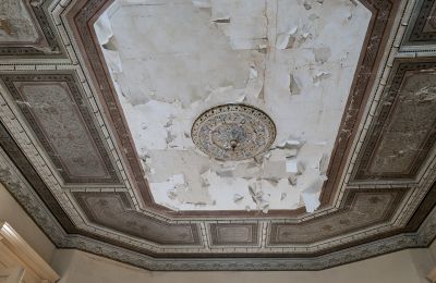 Zámok na predaj Głuchowo, Palac 1, województwo wielkopolskie, Strop