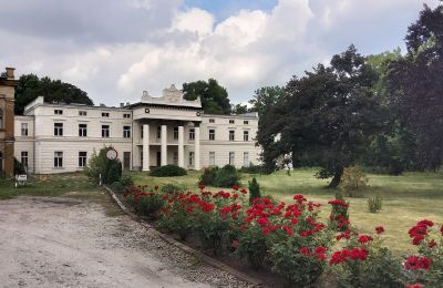 Zámok na predaj Głuchowo, Palac 1, województwo wielkopolskie, Prístup