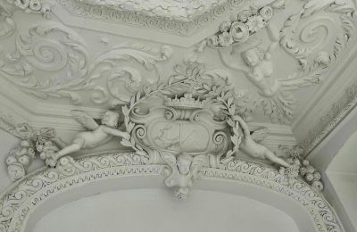 Zámok na predaj powiat gorzowski, gmina Witnica, Dąbroszyn, Pałac w Dąbroszynie, Lubusko,  © Stowarzyszenie Templum
