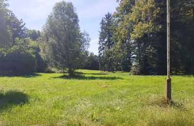 Kaštieľ na predaj Konopnica, województwo łódzkie, Obrázok 7/8