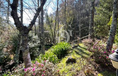 Kaštieľ na predaj 36740 Tomiño, Galícia, Obrázok 20/37