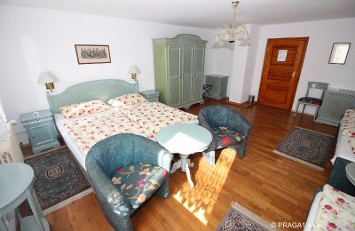 Kaštieľ na predaj Levín, Ústecký kraj, Obrázok 13/19