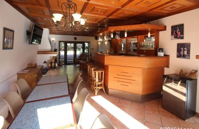 Kaštieľ na predaj Levín, Ústecký kraj, Obrázok 6/19