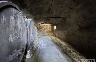 Historická vila na predaj Santo Pietro Belvedere, Toscana, Obrázok 13/14