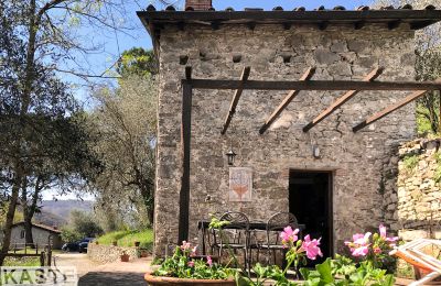 Vidiecky dom na predaj Pescaglia, Toscana