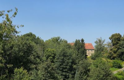 Kaštieľ na predaj Lubomierz, województwo dolnośląskie, Obrázok 25/29