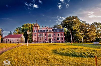 Zámok na predaj Brzeźnica, Bobrzańska 1, województwo lubuskie, Stan wspołczesny