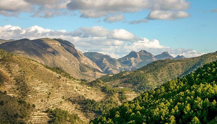  Relleu 3