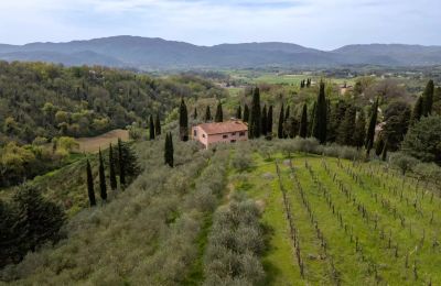 Vidiecky dom na predaj Vicchio, Toscana, Obrázok 36/39