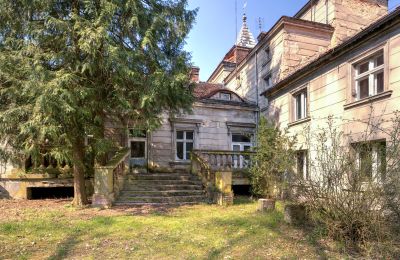 Kaštieľ na predaj Żegrowo, Żegrowo 1, województwo wielkopolskie,, Pohľad zo zadnej strany