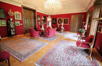 Zámok na predaj Kraj Vysočina, Salón