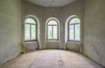 Kaštieľ na predaj Lubiatów, województwo łódzkie, Obrázok 11/18