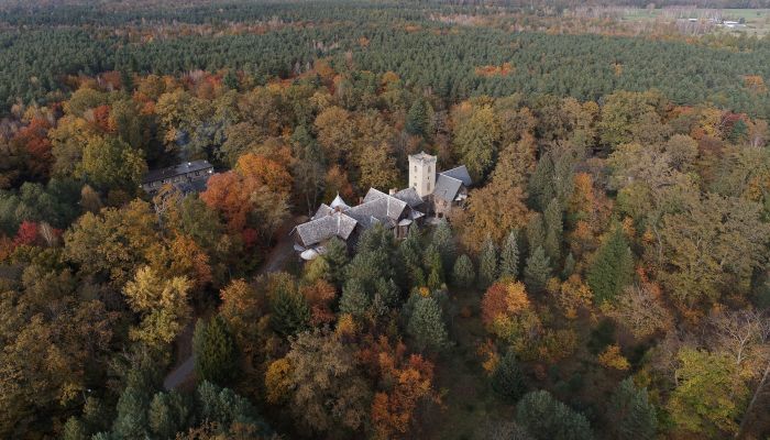 Zámok na predaj Sośnie, województwo wielkopolskie,  Poľsko