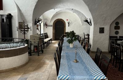 Zámok na predaj 97453 Schonungen, Ernst Sachs Straße 6, Bayern, Brunnenstube