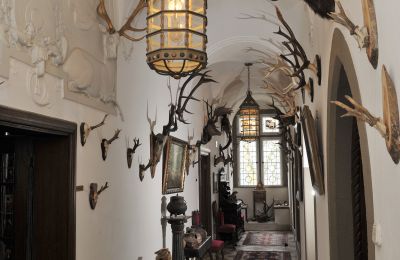 Zámok na predaj 97453 Schonungen, Ernst Sachs Straße 6, Bayern, Jägergang