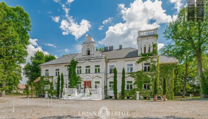 Kaštieľ na predaj Pstrokonie, województwo łódzkie,  Poľsko